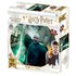 Prime 3d Gåde Harry Potter Lenticular Voldemort 300 Stykker