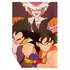 Toei animation Dragon Ball Vegeta Goku Fleece Blanket 100x140 cm