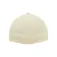 Flexfit Gorra Patel