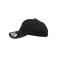 Flexfit 6245CM cap