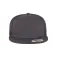 Flexfit Gorra Classique Trucker