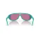 Oakley CMDN Prizm solbriller