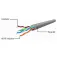Gembird Cable de red UTP CAT 6 2 m