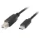 Lanberg USB C naar USB B 2.0 Ferriet kabel 3 m