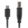 Lanberg Cable USB C a USB B 2.0 Ferrita 3 m
