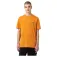 Dickies Artondale Box short sleeve T-shirt