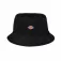 Dickies Clarks Grove hut
