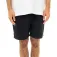 Dickies Pelican Rapids shorts