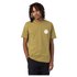 Dickies Woodinville short sleeve T-shirt