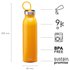 Aladdin Chilled Thermavac™ Stainless Steel Bottle 0.55L