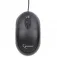 Gembird Mouse MUS-U-01