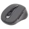 Gembird Mouse wireless MUSWB2