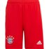 adidas Pantalones Cortos Bayern Munich 22/23 Primera Equipación Junior