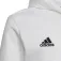 adidas Entrada 22 kapuzenpullover