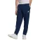 adidas Entrada 22 pants