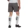 adidas Entrada 22 shorts