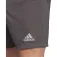 adidas Entrada 22 shorts