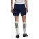 adidas Entrada 22 Training shorts