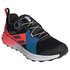 adidas Chaussures Trail Running Terrex Two BOA