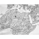 Awesome maps полотенце Карта для раскрашивания Карта мира для раскрашивания с рисунками характерными для каждой страны