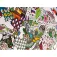 Awesome maps Coloring 地图