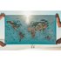 Awesome maps Surftrip Map Best Surf Beaches Of The World Original Colored Edition
