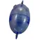 Tortue Buldo Oval float