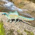 Safari ltd Spinosaurus Figuur