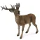 Collecta Deer Figure