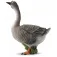 Collecta Goose Figure