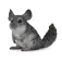 Collecta Long-Tailed Chinchilla Figure