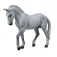 Collecta Trakehnerhingst-Grå figur