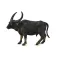 Collecta Vildvattenbuffelfigur