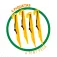 Aktive Baliza de futebol Folding