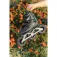 Kizer SUV 125 Rolki