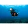 Aqualung Gilet de stabilisation Pro HD Compact