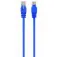 Gembird PP12-2M/B CAT 5E 2 m network cable