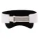 Arch max Visor