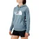 The north face Half Dome hoodie