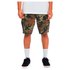 Dc shoes Ware House 2 Shorts