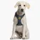 Dc comics Batman 狗背带