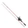 Daiwa Procaster+PR100L Baitcasting-Combo