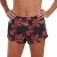 Zoot Calções Ltd Run 3´´
