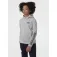 Helly hansen Active kapuzenpullover