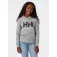 Helly hansen Logo kapuzenpullover