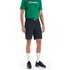 Berghaus Theran shorts