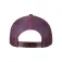 Flexfit Gorra Retro