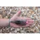 Avid carp Plom de carpfishing Shock