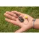 Avid carp Shock karpfiskebly