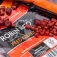Sonubaits Granulés de pêche Robin Red Feed